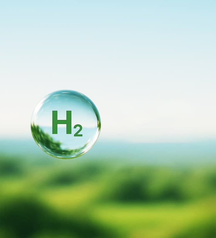 <h2><strong><span style="color:#000000">Carbon Credit</span></strong></h2>