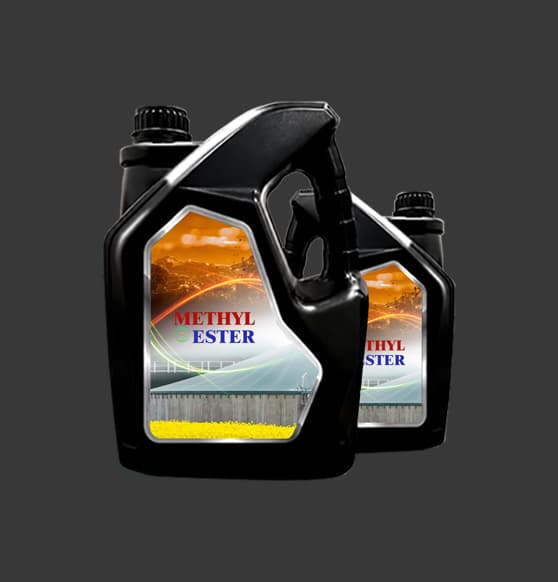 Methyl Ester